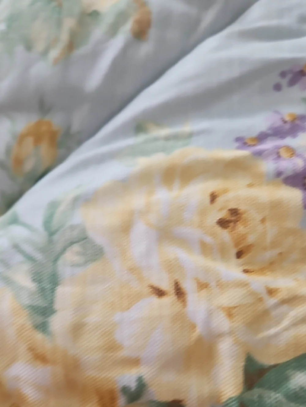 Laura Ashley Lifestyle Pale Blue Yellow Rose Green Stipes Cotton Comforter Shams